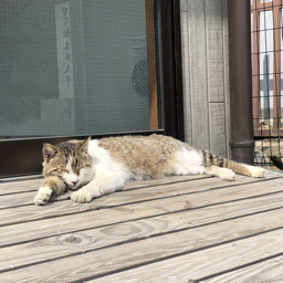 hattori045.net
